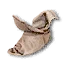 Lost shoe