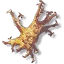 Dragonsroot