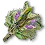 Hjort's herbs