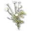 Chamomile