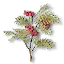 Rowan branch