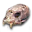 Strange skull