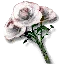 Bouquet of white roses