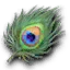 Odorous peacock feather