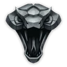 Viper School