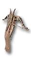 Crossbow