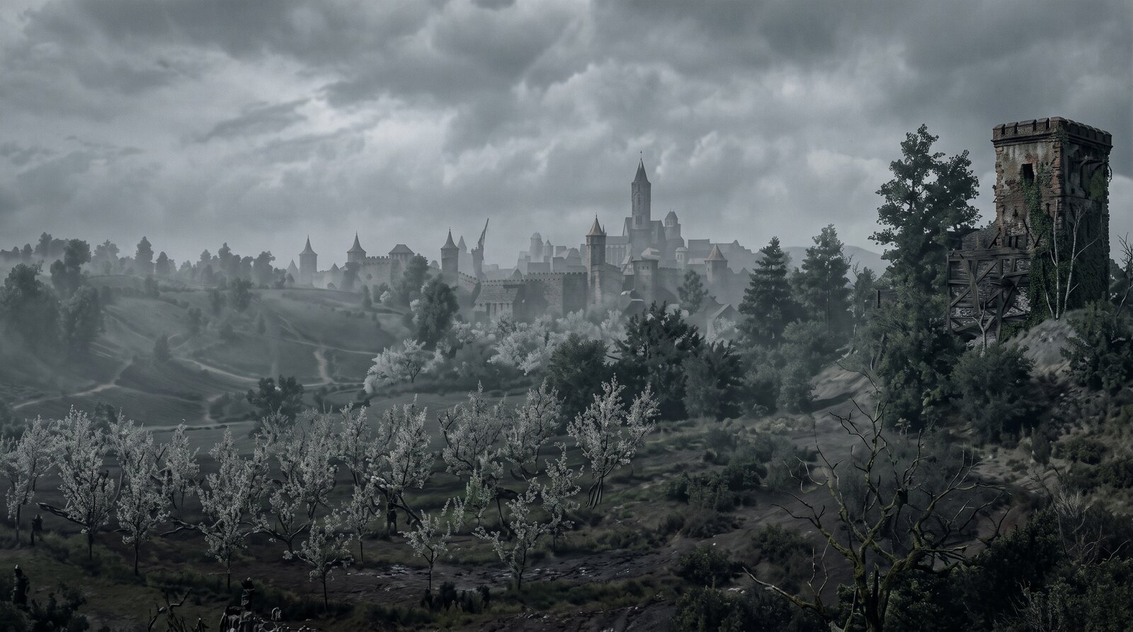 Velen & Novigrad Province Map
